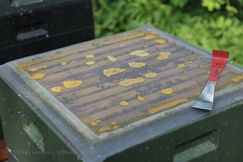 DSC_0117.jpg