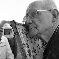 DSC_0169