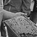 DSC_0194