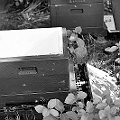 DSC_1125