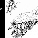 Folie165
