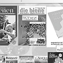 Folie175